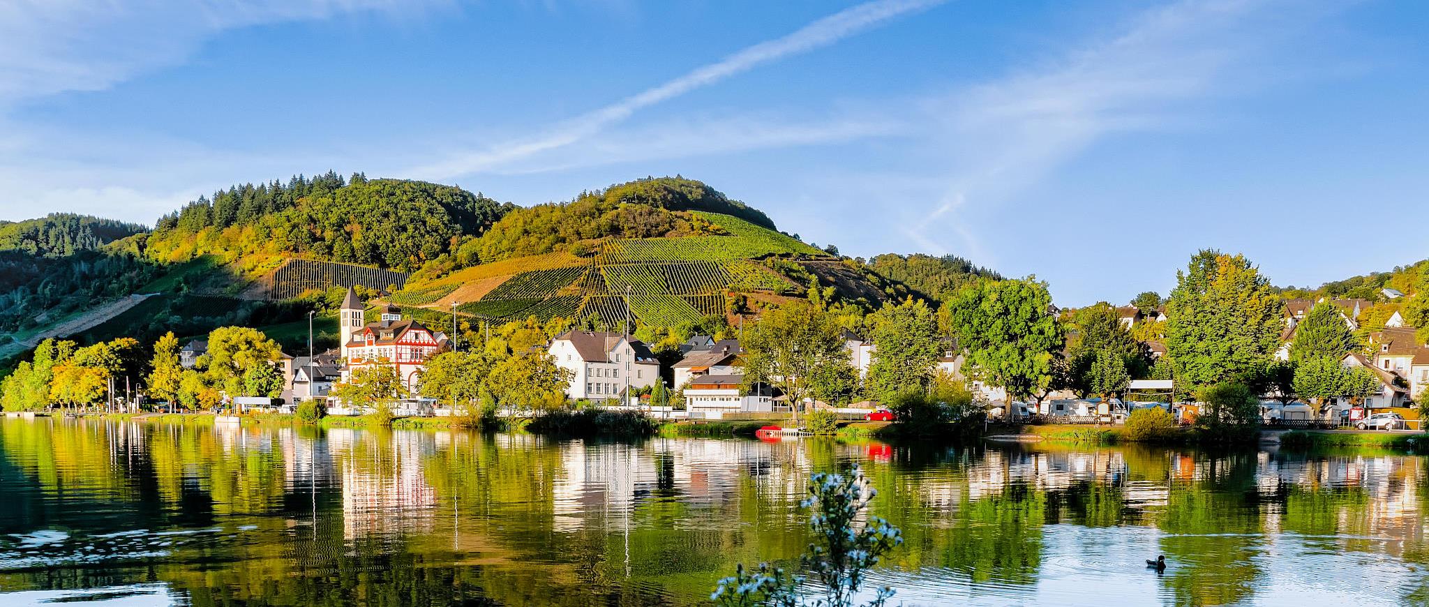 Blick auf Bullay (Mosel) - Mosel Urlaub in Ferienwohnungen Bullay, Zehnthausstraße 23, 56859 Bullay (Mosel)